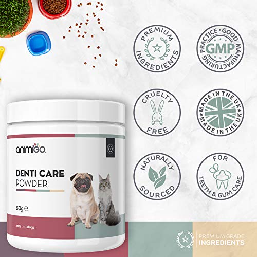 Animigo Polvos Cuidado Dental para Perros y Gatos | Suplemento Polvo para Higiene Bucal de Mascotas | Cuida Dientes, Encías y Refresca el Aliento | con Algas Marinas, Hierbabuena y Granada | 60gr