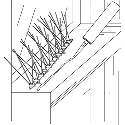 ASPECTEK Sistema Anti Pájaros - 10 Hileras de Púas Antipalomas Con Base de Policarbonato Para Control de Aves y Palomas (con Transparent Silicone Glue)