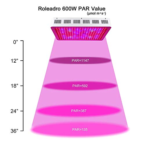 Calistouk 300W/600W/1000W/1200W LED Grow Light Full Spectrum para Plantas de Invernadero hidropónicas de Interior Veg and Bloom 100pcs 10W LED (1000W)