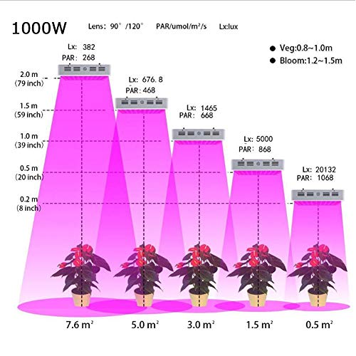 Calistouk 300W/600W/1000W/1200W LED Grow Light Full Spectrum para Plantas de Invernadero hidropónicas de Interior Veg and Bloom 100pcs 10W LED (1000W)