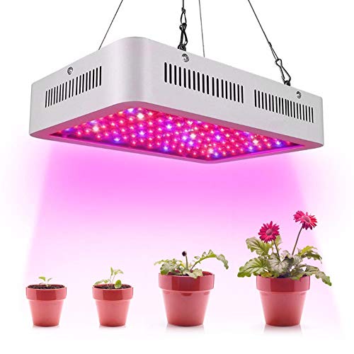 Calistouk 300W/600W/1000W/1200W LED Grow Light Full Spectrum para Plantas de Invernadero hidropónicas de Interior Veg and Bloom 100pcs 10W LED (1000W)