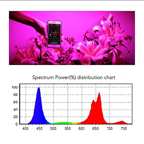 Calistouk 300W/600W/1000W/1200W LED Grow Light Full Spectrum para Plantas de Invernadero hidropónicas de Interior Veg and Bloom 100pcs 10W LED (1000W)