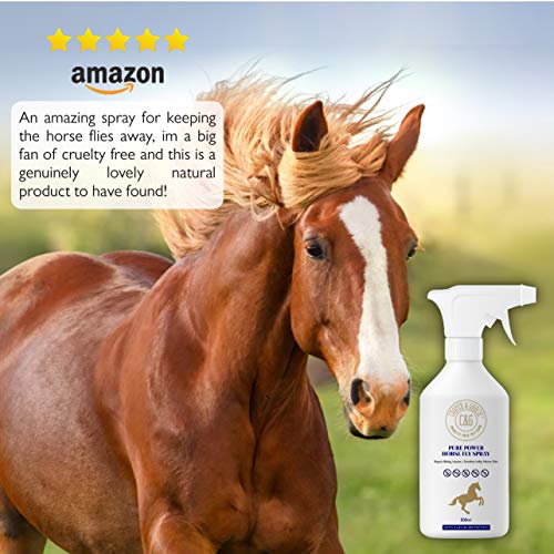 C&G Pets | Pure Power Horses Spray 500 ml | Fórmula resistente al sudor libre de crueldad ingredientes naturales | larga duración piel y protección del cabello ayuda contra picazón natural suaviza