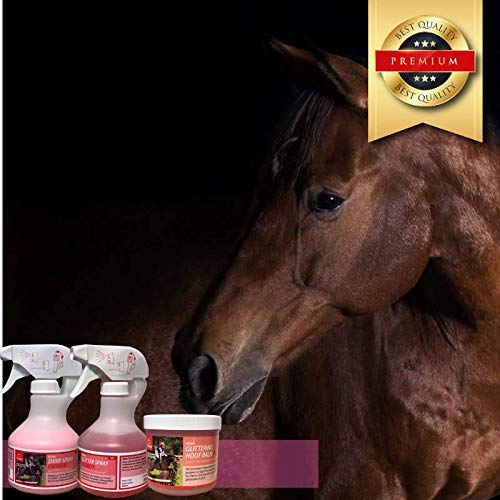 Emma ♥ Caballos Cuidado – Juego 3 piezas, caballos purpurina Spray, grasa Herradura en rosa con aroma Fresa & purpurina, crin Spray para montaje, trenzar crines y cola de pelo para caballos Box