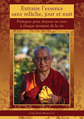 Extraire l'essence sans relâche, jour et nuit: Pratiques pour donner un sens à chaque moment de sa vie (French Edition)