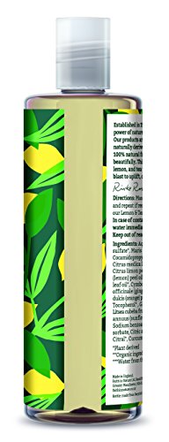 Faith in Nature Champú Natural de Limón y Árbol del Té, Refrescante, Vegano y No Testado en Animales, sin Parabenos ni SLS, para Cabello Normal a Graso, 400 ml