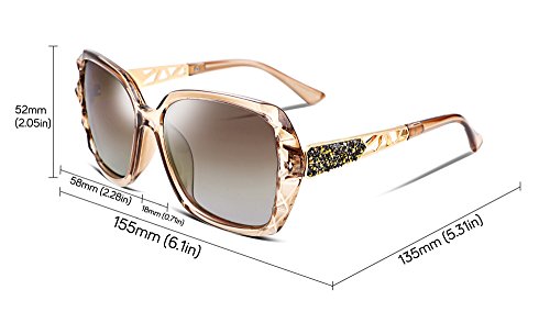 FEISEDY Gafas de sol para mujer clásicas Polarizadas Marco Compuesto Espumoso B2289