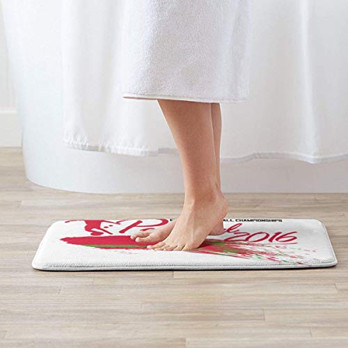 fenrris65 Euro 2016 Football Portugal Blast White Door Mat Entrance Non-Slip Bath Mat Kitchen Floor Carpet Mat 19.5 X 31.5 Inch Absorbent Area Rugs