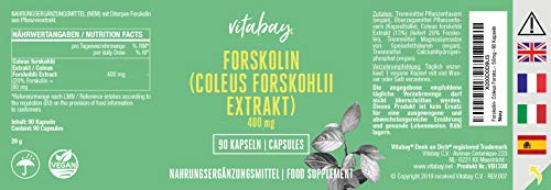 Forskolin Coleus Forskohlii Extract, 400 mg, 90 Cápsulas Veganas