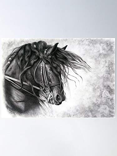 Friesian Baroque Art Dressage Equine Black Horse Impresionantes carteles para la decoración de la habitación impresos con la última tecnología moderna sobre papel semibrillante