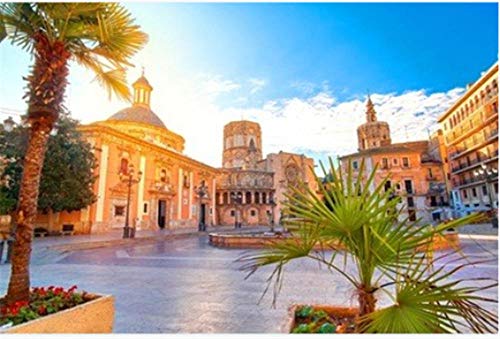 HCYEFG Rompecabezas Rompecabezas De 1000 Piezas Arquitectura De La Plaza De La Virgen De Valencia España con Amanecer Decoración del Hogar para Niño Adulto 1000 Piezas