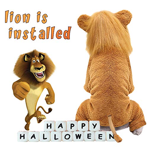 Idepet Disfraz de Mascota, Disfraz de Halloween para Perro, Disfraz de León, Cachorro, Navidad, Divertidos Disfraces de Cosplay, Gatos, Ropa Divertida