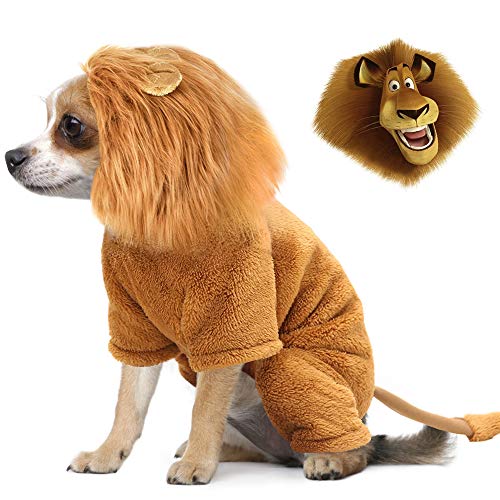 Idepet Disfraz de Mascota, Disfraz de Halloween para Perro, Disfraz de León, Cachorro, Navidad, Divertidos Disfraces de Cosplay, Gatos, Ropa Divertida