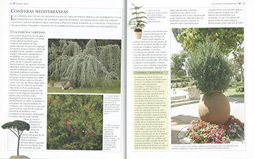 Jardin Mediterraneo(Plantas De Jardin) (Plantas De Jardín)