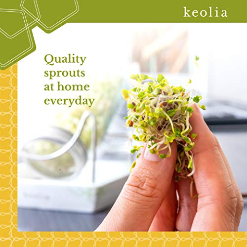 Keolia Germinador de Semillas Brocoli - 2 x 750 ML Tarros de Masón con Tapas de Colador de Acero Inoxidable – Kit Germinador para Brotes Cultivar su Propia Ensalada de Alfalfa, Semillas Germinados