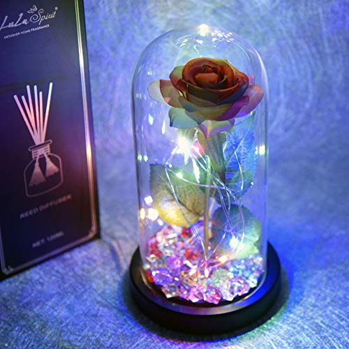 Kit de rosas "La Bella y la Bestia", rosa de seda colorida y luz led en una cúpula de vidrio en la base de madera para la decoración del hogar Fiesta de cumpleaños Fiesta de cumpleaños Día de la madre