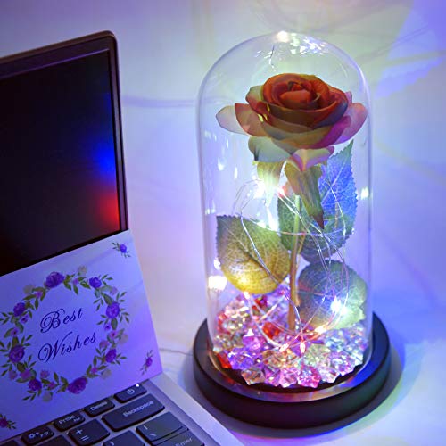 Kit de rosas "La Bella y la Bestia", rosa de seda colorida y luz led en una cúpula de vidrio en la base de madera para la decoración del hogar Fiesta de cumpleaños Fiesta de cumpleaños Día de la madre