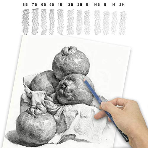 Lapices Colores Profesional, 96pcs Lápices de Dibujo Artístico para Boceto, Lapiz Dibujos con Lapices de Carboncillo y Grafito & Lápices Arte, regalo para Artistas, Estudiantes, Niños y Adultos