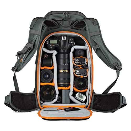 Lowepro Whistler 450 AW - Mochila para cámara Digital, Color Gris