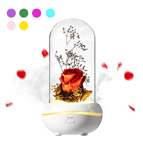 MMTX Regalo del Dia de Las Madres Rosa encantada Colorido LED Aromaterapia Luz, Romántico Aceites Esenciales Difusor Regalos Decoración para el hogar para Navidad San Valentín Aniversario Regalo