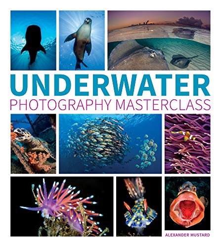 Mustard, A: Underwater Photography Masterclass