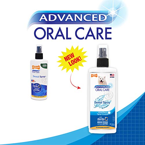 Nylabone Advanced Oral Care 4 oz Spray dental para perros, el paquete puede variar