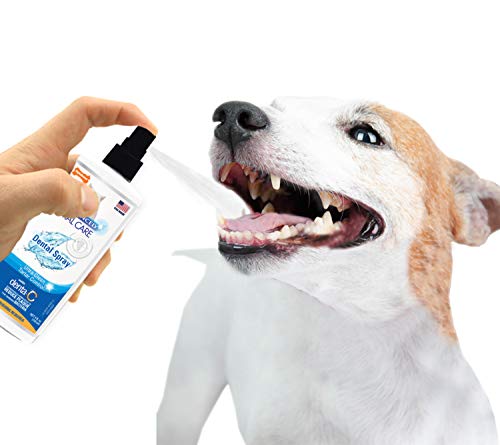 Nylabone Advanced Oral Care 4 oz Spray dental para perros, el paquete puede variar