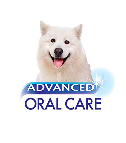 Nylabone Advanced Oral Care 4 oz Spray dental para perros, el paquete puede variar