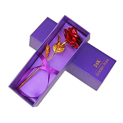 Onerbuy Creative madre regalo del día de 24 K lámina de oro rosa flores full Blossom presenta, romántico regalo para ella con caja, hecho a mano & amor dure para siempre (Rojo)