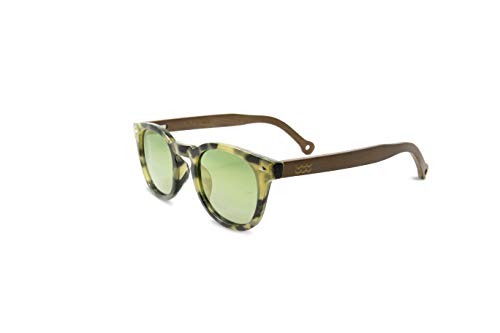 Parafina - Gafas de Sol Polarizadas para Hombre y Mujer - Gafas de Sol Redondas Anti-reflejantes Tortoise - Lentes Verdes