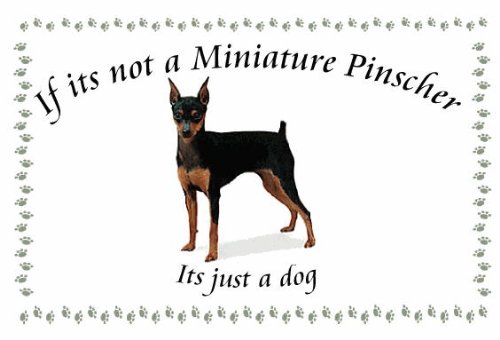 Pinscher miniatura (negro/Tan) - perro flashsellerz Llaveros - si no es