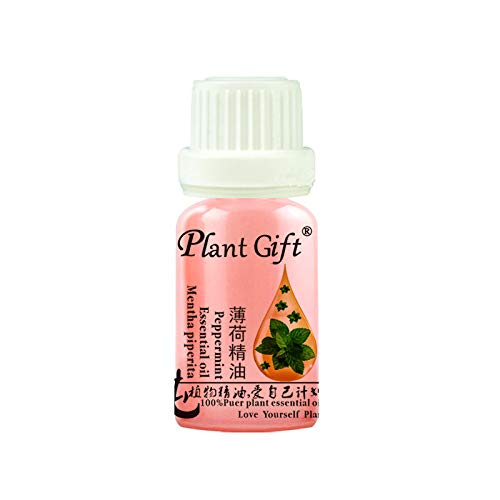 Plant gift The Best Peppermint Essential Oil, 100% menta de aceite esencial puro. La hierbabuena le da una sensación refrescante. Refresca el aire, o alivia los problemas digestivos.-10ML / 0.35OZ