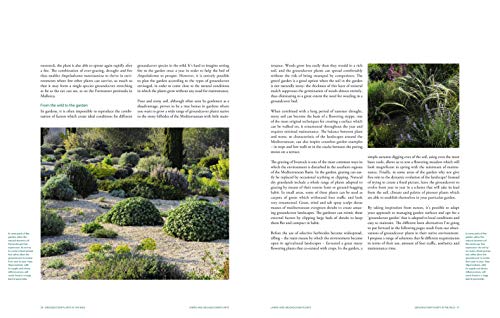 Planting Design for Dry Gardens: Beautiful, Resilient Groundcovers for Terraces, Paved Areas, Gravel and Other Alternatives to the Lawn