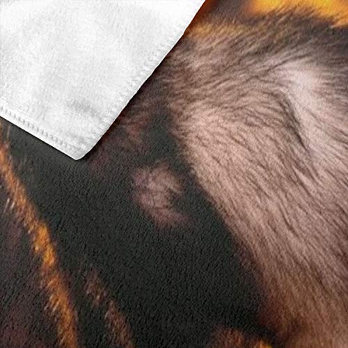 Pureny Polecat_Mongoose_Nature_Opinion_Hunting_x Bath Towel Wrap Microfiber Soft Bath Sheets Beach Towel for Men Women,80x130 cm