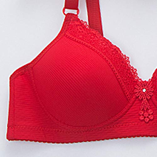 Reooly Saco Tanga la Mejor Tangas Tanga Alto Mujeres con Tangas Rojas Body Tanga Lote Tangas Mujer Tanga Hilo Tangas para Comprar Coleccion de Tangas Tangas Mujer los colales de la Dama Mujeres