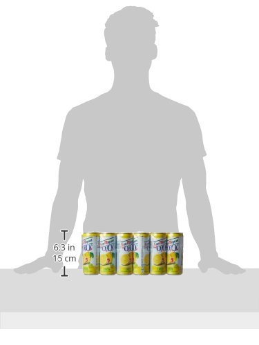 San Miguel Cerveza Limon - Paquete de 24 x 330 ml - Total: 7920 ml