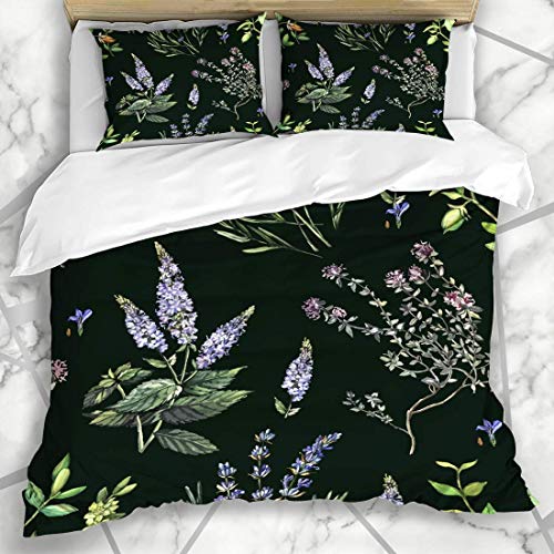 Sets de Funda nórdica Cara Acuarela Aroma Plantas medicinales Pintura a Mano Naturaleza Lavanda cosmética Verde Vintage Bio Ropa de Cama de Microfibra con 2 Fundas de Almohada