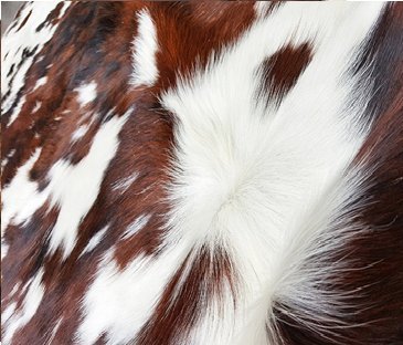 Sunshine Cowhides Alfombra DE Piel DE Vaca Tricolor 210 x 180 cm 100% Natural - Pieles del Sol