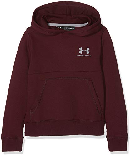 Under Armour Sudadera con Capucha y Forro Polar de algodón de la UE para niño, Niños, Sudadera cálida, 1320134-600, Granate Oscuro/Acero, XS