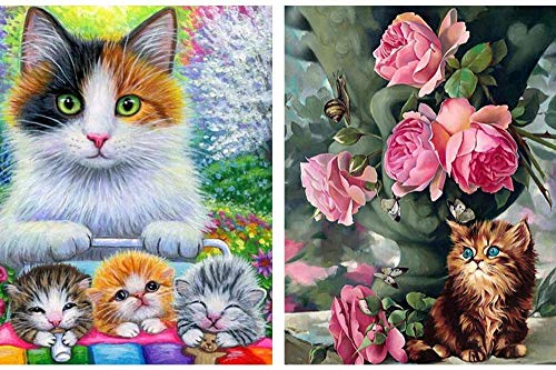 5D Diy Diamante Pintura,Rosa Mosqueta Flor Gato Animal,2 Piezas Oyjl Taladro Completo Paisaje Redondo Diamantes De Imitación Punto De Cruz Mosaico Lienzo Arte Decoración Del Hogar（30X40Cm）