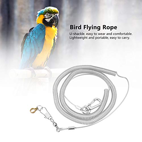 6m Parrot Bird Arnés Correa Anti-mordida Cuerda de entrenamiento de vuelo al aire libre Suministros para mascotas para guacamayos grises africanos Perico Conure Lovebird (Anillo de pie dia. 6.5mm)