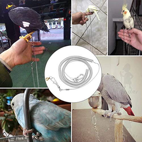 6m Parrot Bird Arnés Correa Anti-mordida Cuerda de entrenamiento de vuelo al aire libre Suministros para mascotas para guacamayos grises africanos Perico Conure Lovebird (Anillo de pie dia. 6.5mm)