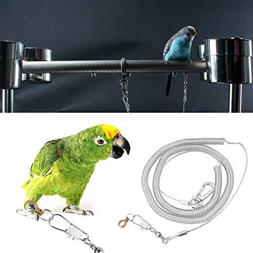 6m Parrot Bird Arnés Correa Anti-mordida Cuerda de entrenamiento de vuelo al aire libre Suministros para mascotas para guacamayos grises africanos Perico Conure Lovebird (Anillo de pie dia. 6.5mm)