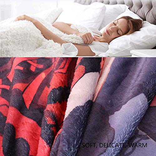 BHAHFL Manta De Doble Capa con Forro Polar, Franela Suave, Cama Doble, Mantas Grandes, Manta De Microfibra para Sofá para Sillas/Cama/Oficina, Ropa De Cama Exquisita, Cálida,100 * 150CM