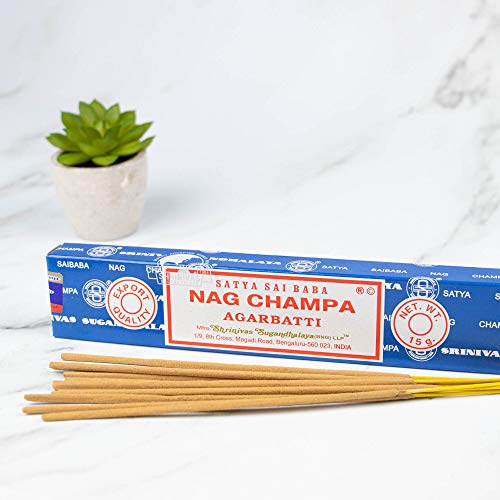 Cultival Exchange Satya Sai Baba Classic Nag Champa Agarbatti, Caja de incienso 12 cajas de 15 gramos