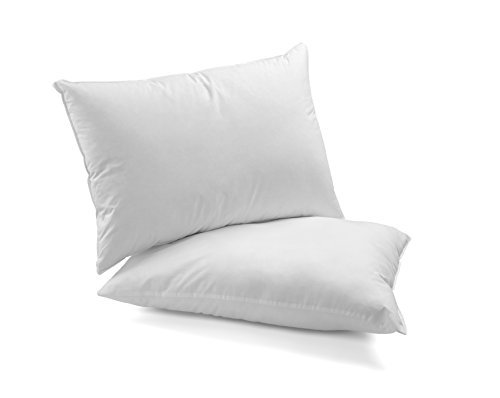 DAGOSTINO HOME BOUTIQUE COLLECTION Pack de 2 Almohadas de Fibra Supersuave Lavables 40x90 cm.(Todas Las Medidas). Tratamiento Aloe Vera, firmeza Media-Baja, Altura 16 cm, Calidad Hotel