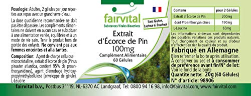 Extracto de Corteza de Pino 100mg - Pinus pinaster atlantica - VEGANO - 95% de proantocianidinas - Dosis elevada - 180 Cápsulas (60 Cápsulas x 3)- Calidad Alemana