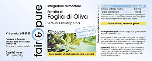 Extracto de Hoja de Olivo - 20% de Oleuropeína - Olive Leaf Extract - Alta pureza - 120 Cápsulas