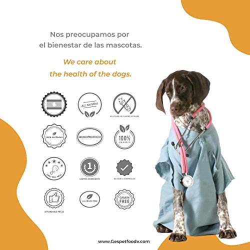 Gespetfood Hueso para Perros - Pack 4 Uds. - Hueso con Jamón para Perros con Sabor único - Mordedor para Perros - Mantiene Las Encías Saludables - 100% Orgánico - Fabricado en España