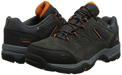 Hi-Tec Banderra II Low WP, Zapatillas de Senderismo para Hombre, Gris (Charcoal/Graphite/Burnt Orange 51), 41 EU